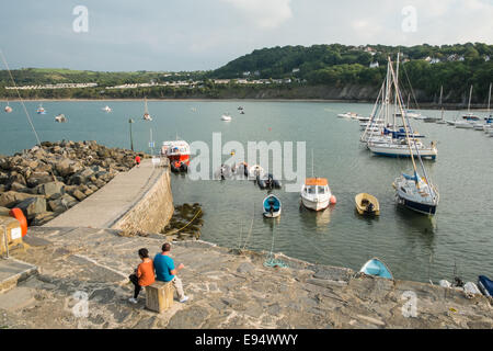 Boote im Hafen von New Quay in Ceredigion, Dyfed, West Wales, Wales, Stockfoto