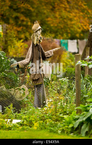 Krähe im Garten zu erschrecken Stockfoto