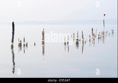 Winterlichen Bodensee in der Nähe von Überlingen, Baden-Württemberg, Deutschland Stockfoto