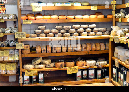 Pecorino-Käse auf den Verkauf in einem Spezial Shop, Pienza, Provinz Siena, Toskana, Italien Stockfoto