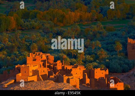 Alten Kasbah, Oase, Abendlicht, Tinghir, Tineghir, Tingħi, Todra-Tal, Todra Schlucht, Marokko Stockfoto