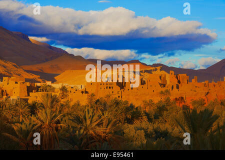 Alten Kasbah, Oase, Abendlicht, Tinghir, Tineghir, Tingħi, Todra-Tal, Todra Schlucht, Marokko Stockfoto