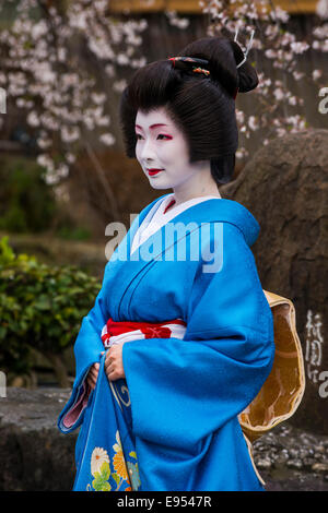 Geisha im Geisha-Viertel Gion, Kyoto, Japan Stockfoto