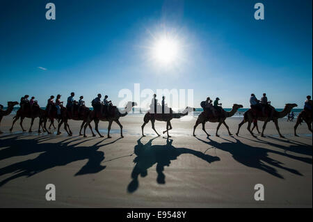 Touristen, Reiten auf Kamelen am Cable Beach in Broome, Western Australia Stockfoto