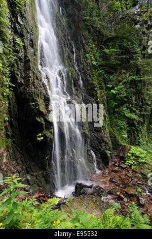 Burgbach Wasserfall in der Nähe von Bad-Rippoldsau-Schapbach, Baden-Württemberg, Deutschland Stockfoto