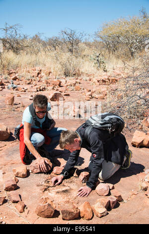 Zwei Touristen auf der Suche nach versteinerten Dinosaurier-Fußspuren, Kalkfeld, Otjozondjupa Region, Namibia Stockfoto