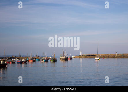 Abendlicht über die kleinen Fischerboote und das Vergnügen Yachten im äußeren Hafen von Mevagissey, Cornwall, England, UK. Stockfoto