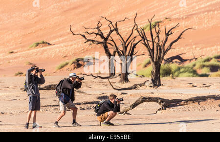 Drei Wanderer fotografieren einen toten Baum im Salz und Ton zu schwenken, Sossusvlei, Namib-Wüste, Hardap Region, Deadvlei, Namibia Stockfoto