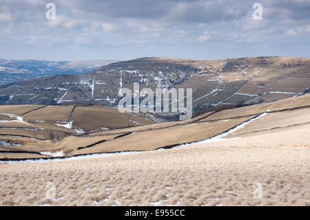 Sonnenlicht auf gebleichten Moorland Gräser in einer späten Winter-Landschaft in der Nähe von Hayfield in Derbyshire. Stockfoto