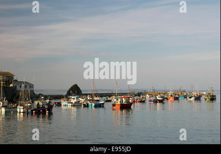 Abendlicht über die kleinen Fischerboote und das Vergnügen Yachten im äußeren Hafen von Mevagissey, Cornwall, England, UK. Stockfoto