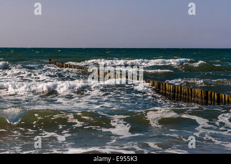 Buhnen bei mäßiger Wellengang auf der Strand von Ahrenshoop, Fischland, Mecklenburg-Western Pomerania, Deutschland Stockfoto