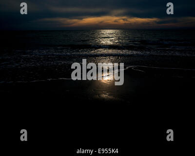 Der Strand am Abend, in der Nähe von Ahrenshoop, Fischland, Mecklenburg-Western Pomerania, Deutschland Stockfoto