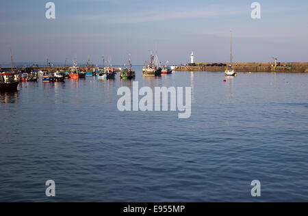 Abendlicht über die kleinen Fischerboote und das Vergnügen Yachten im äußeren Hafen von Mevagissey, Cornwall, England, UK. Stockfoto