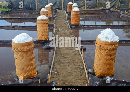 Geernteten Meersalz, verpackt, trocken, bekannt als Fleur de Sel, Nord Bali, Bali, Indonesien Stockfoto
