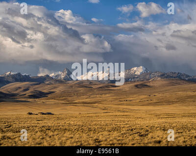 Cordillera Real bei Sonnenuntergang, bolivianische Hochebene Altiplano, La Paz, Bolivien Stockfoto