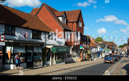 New Forest Nationalpark, Hampshire, England Stockfoto