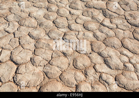 Getrocknet, sandigen Boden, tot Pan, Sossusvlei, Namib-Wüste, Namibia Stockfoto