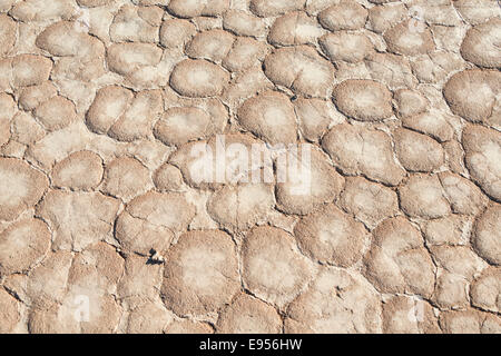 Getrocknet, sandigen Boden, tot Pan, Sossusvlei, Namib-Wüste, Namibia Stockfoto