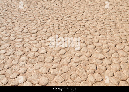 Getrocknet, sandigen Boden, tot Pan, Sossusvlei, Namib-Wüste, Namibia Stockfoto