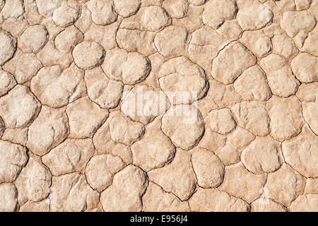 Getrocknet, sandigen Boden, tot Pan, Sossusvlei, Namib-Wüste, Namibia Stockfoto