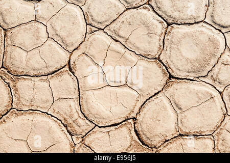 Getrocknet, sandigen Boden, tot Pan, Sossusvlei, Namib-Wüste, Namibia Stockfoto