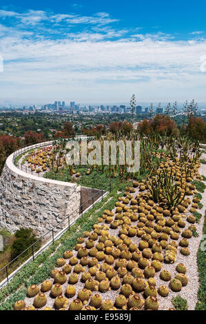 Kalifornien, Los Angeles, Getty Center, Kakteengarten, Blick in Richtung Innenstadt Stockfoto