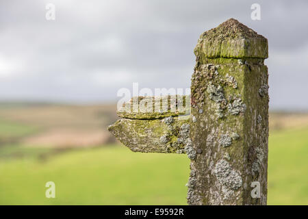 Alten öffentlichen Fußweg Zeichen bedeckt in Flechten, England, UK Stockfoto