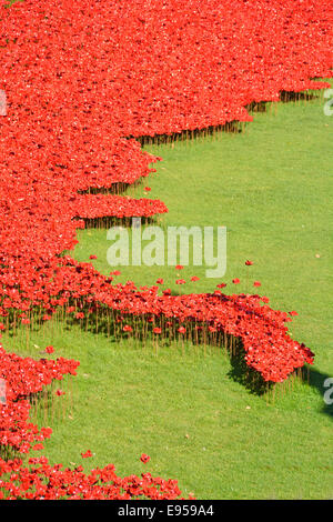 Feld der roten Keramik Mohnblumen Blut gefegt Länder & Meere von roten Ersten Weltkrieg erste Weltkrieg Tribut in trockenen Graben am Historic Tower of London England Stockfoto