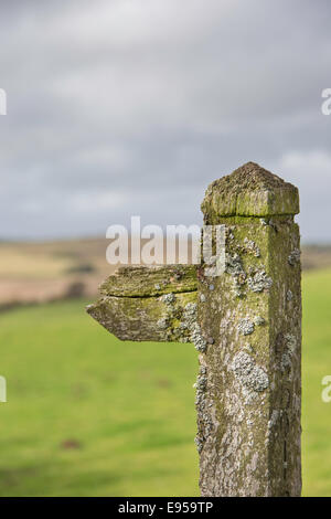 Alten öffentlichen Fußweg Zeichen bedeckt in Flechten, England, UK Stockfoto