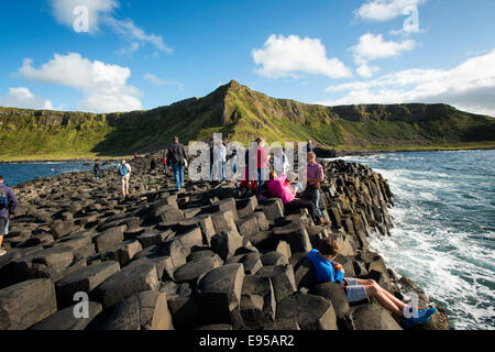 Das UNESCO-Weltkulturerbe Giants Causeway, North Coast, County Antrim, Nordirland Stockfoto