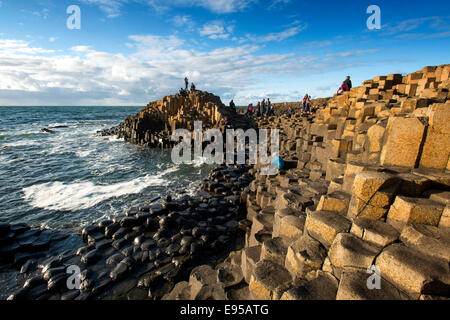 Das UNESCO-Weltkulturerbe Giants Causeway, North Coast, County Antrim, Nordirland Stockfoto