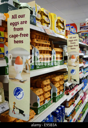 Eiern aus Käfig-freie Hühner auf Verkauf im Zweig der Sainsbury Supermarkt, London Stockfoto