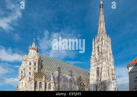 Stephansdom in Stephansplatz, Wien, Österreich Stockfoto