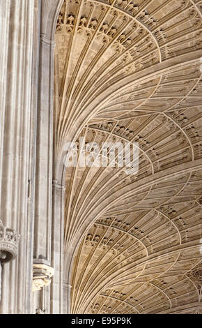 Detail der gewölbten Decke der Kapelle des King College, Cambridge Stockfoto