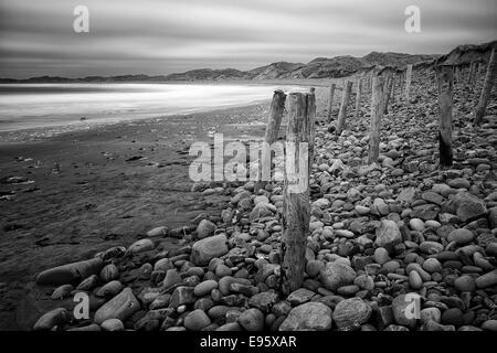 Doughmore Beach County Clare Irland hölzerne Beiträge leisten, die Felsen Findlinge Düne Schutz schützen erodieren Erosion schwarz / weiß Stockfoto