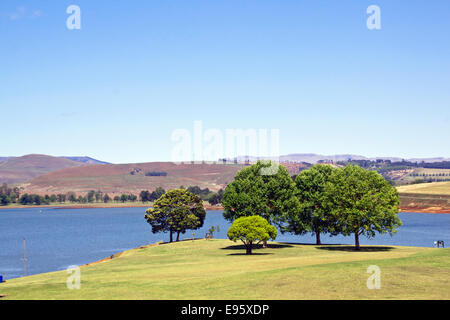 Baum bedeckt Picknickplatz am Ufer der Talsperre Stockfoto