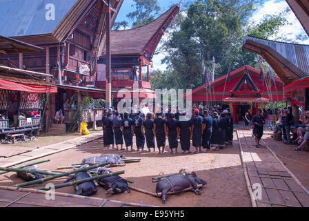 Tanah Toraja Beerdigung bei Londa Sulawesi Indonesien Stockfoto