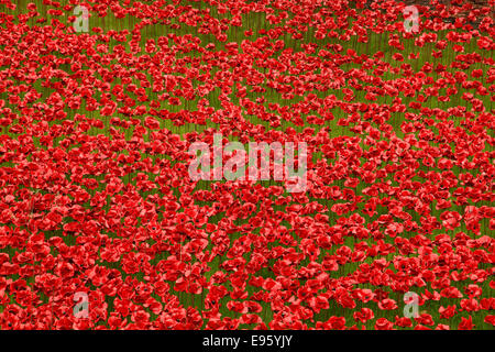 Blut gefegt, Länder und Meere der Red Tower of London 2014 Stockfoto
