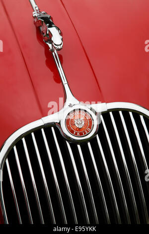 Klassische Auto Jaguar xk150 Stockfoto