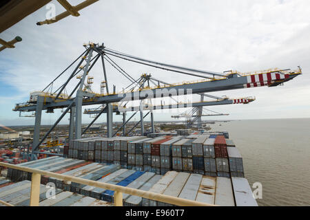 London-Gateway, Essex, England. 19. Oktober 2014. Containerschiff Edith Maersk ist bei London Gateway auf der Themse in Stanford-le-Hope, Essex am 19. Oktober 2014 sehen. Edith Maersk ist das größte Schiff überhaupt, Reisen über die Themse und Maßnahmen 397 Meter lang, 56 m breit, hat einen Tiefgang von 16 Metern und kann bis zu 15.500 Größe Standardcontainer transportieren. Stockfoto