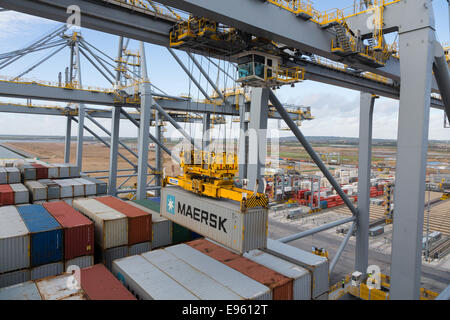 London-Gateway, Essex, England. 19. Oktober 2014. Containerschiff Edith Maersk ist bei London Gateway auf der Themse in Stanford-le-Hope, Essex am 19. Oktober 2014 sehen. Edith Maersk ist das größte Schiff überhaupt, Reisen über die Themse und Maßnahmen 397 Meter lang, 56 m breit, hat einen Tiefgang von 16 Metern und kann bis zu 15.500 Größe Standardcontainer transportieren. Stockfoto