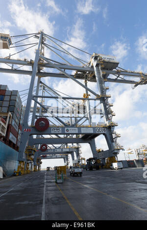 London-Gateway, Essex, England. 19. Oktober 2014. Containerschiff Edith Maersk ist bei London Gateway auf der Themse in Stanford-le-Hope, Essex am 19. Oktober 2014 sehen. Edith Maersk ist das größte Schiff überhaupt, Reisen über die Themse und Maßnahmen 397 Meter lang, 56 m breit, hat einen Tiefgang von 16 Metern und kann bis zu 15.500 Größe Standardcontainer transportieren. Stockfoto