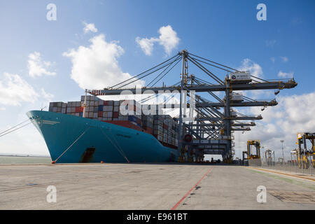 London-Gateway, Essex, England. 19. Oktober 2014. Containerschiff Edith Maersk ist bei London Gateway auf der Themse in Stanford-le-Hope, Essex am 19. Oktober 2014 sehen. Edith Maersk ist das größte Schiff überhaupt, Reisen über die Themse und Maßnahmen 397 Meter lang, 56 m breit, hat einen Tiefgang von 16 Metern und kann bis zu 15.500 Größe Standardcontainer transportieren. Stockfoto