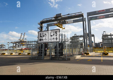 London-Gateway, Essex, England. 19. Oktober 2014. Containerschiff Edith Maersk ist bei London Gateway auf der Themse in Stanford-le-Hope, Essex am 19. Oktober 2014 sehen. Edith Maersk ist das größte Schiff überhaupt, Reisen über die Themse und Maßnahmen 397 Meter lang, 56 m breit, hat einen Tiefgang von 16 Metern und kann bis zu 15.500 Größe Standardcontainer transportieren. Stockfoto