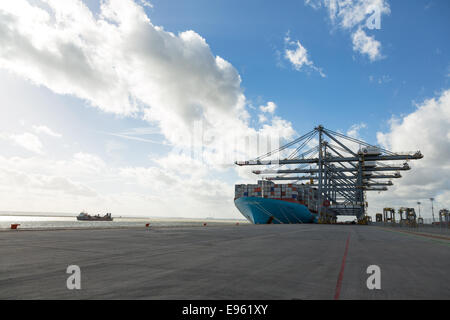 London-Gateway, Essex, England. 19. Oktober 2014. Containerschiff Edith Maersk ist bei London Gateway auf der Themse in Stanford-le-Hope, Essex am 19. Oktober 2014 sehen. Edith Maersk ist das größte Schiff überhaupt, Reisen über die Themse und Maßnahmen 397 Meter lang, 56 m breit, hat einen Tiefgang von 16 Metern und kann bis zu 15.500 Größe Standardcontainer transportieren. Stockfoto