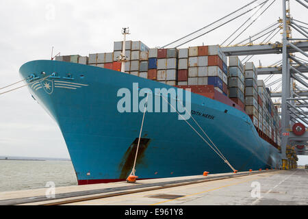 London-Gateway, Essex, England. 19. Oktober 2014. Containerschiff Edith Maersk ist bei London Gateway auf der Themse in Stanford-le-Hope, Essex am 19. Oktober 2014 sehen. Edith Maersk ist das größte Schiff überhaupt, Reisen über die Themse und Maßnahmen 397 Meter lang, 56 m breit, hat einen Tiefgang von 16 Metern und kann bis zu 15.500 Größe Standardcontainer transportieren. Stockfoto