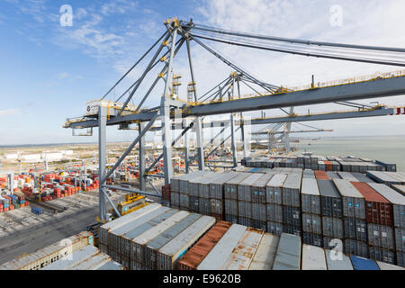 London-Gateway, Essex, England. 19. Oktober 2014. Containerschiff Edith Maersk ist bei London Gateway auf der Themse in Stanford-le-Hope, Essex am 19. Oktober 2014 sehen. Edith Maersk ist das größte Schiff überhaupt, Reisen über die Themse und Maßnahmen 397 Meter lang, 56 m breit, hat einen Tiefgang von 16 Metern und kann bis zu 15.500 Größe Standardcontainer transportieren. Stockfoto