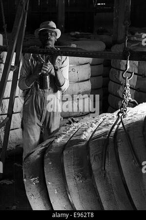 [South Texas Baumwolle Oil Company Arbeiter mit einem Ballen Baumwolle, Houston Pipe Line Gesellschaft] Stockfoto