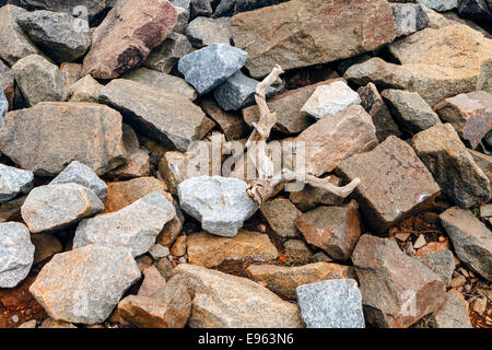 Granitfelsen und einige Treibholz häuften sich auf dem Boden in der Nähe ein Süßwassersee. Stockfoto