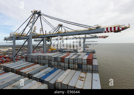 London-Gateway, Essex, England. 19. Oktober 2014. Containerschiff Edith Maersk ist bei London Gateway auf der Themse in Stanford-le-Hope, Essex am 19. Oktober 2014 sehen. Edith Maersk ist das größte Schiff überhaupt, Reisen über die Themse und Maßnahmen 397 Meter lang, 56 m breit, hat einen Tiefgang von 16 Metern und kann bis zu 15.500 Größe Standardcontainer transportieren. Bildnachweis: Versand Bilder/Alamy Live News Stockfoto